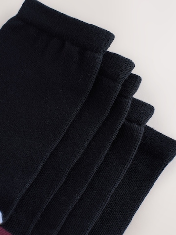 Chaussettes Next en mélange de couleurs