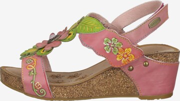 Laura Vita Sandals in Pink