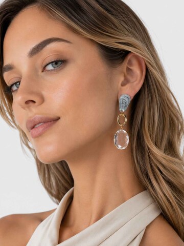 RteRme Oorbellen 'Meadow Grey Crystal Drop Earrings' in Goud: voorkant