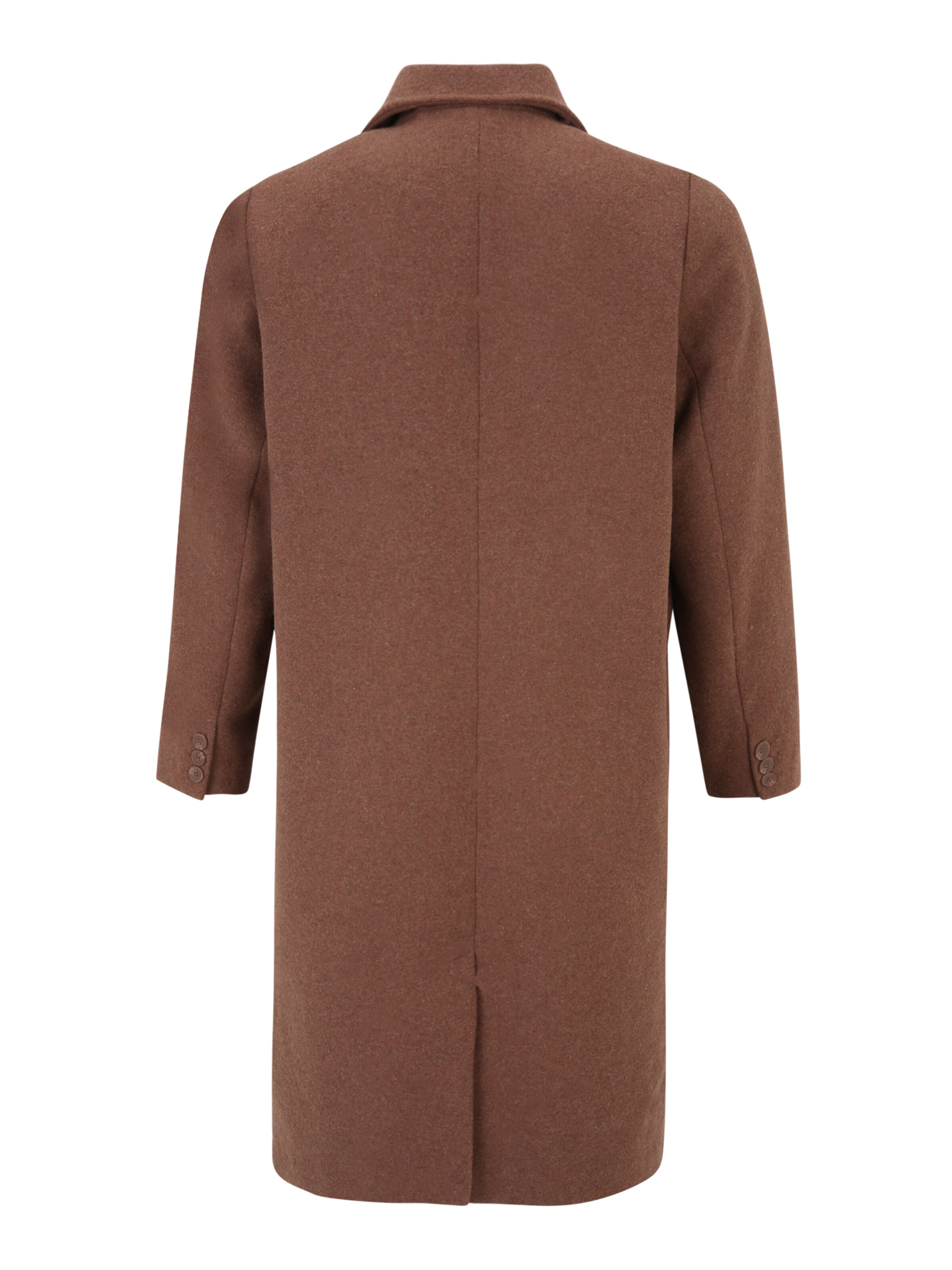 Guido Maria Kretschmer Curvy Between-Seasons Coat in Brown: back