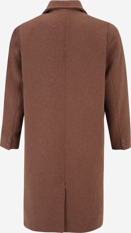 Guido Maria Kretschmer Curvy Between-Seasons Coat in Brown: back