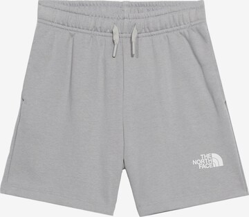 THE NORTH FACE Outdoorové nohavice 'SIMPLE DOME' - Sivá: predná strana