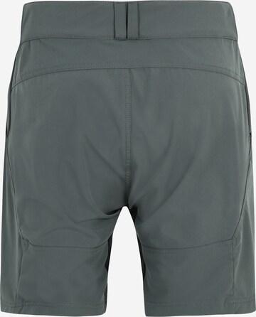 ENDURANCE Regular Sportshorts 'Benal' in Grau