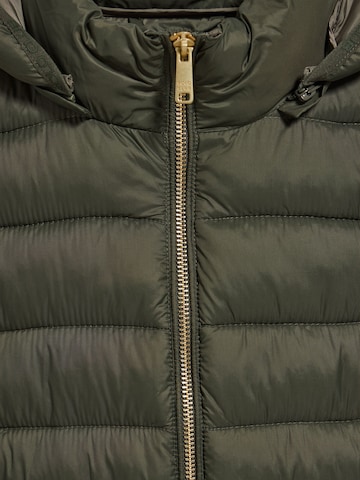 Polo Club Jacke in Grün