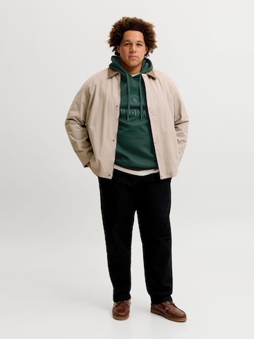 JACK & JONES Sweater in Green