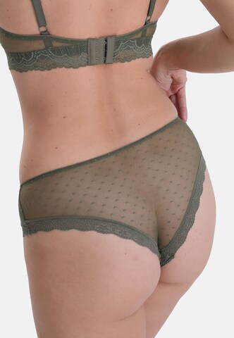 sassa Boyshorts 'FILIGREE WINTER' in Green