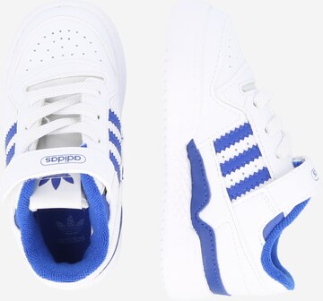 ADIDAS ORIGINALS Sneakers 'Forum Low' in Wit