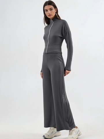 Hiccup Kostuum in Grijs