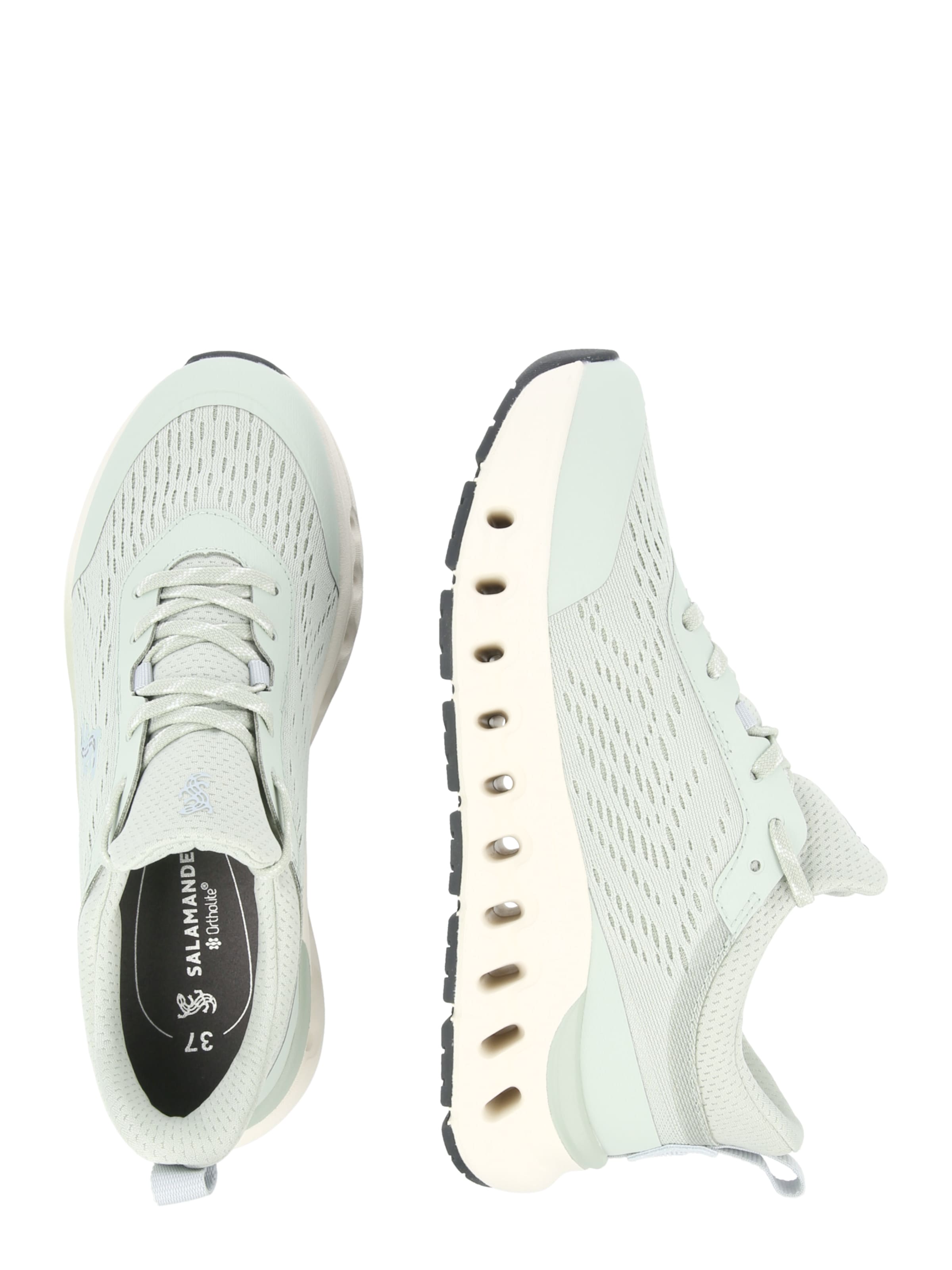 SALAMANDER - Sapatilhas baixas em verde