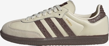 ADIDAS ORIGINALS Σνίκερ χαμηλό 'Samba' σε μπεζ: μπροστά