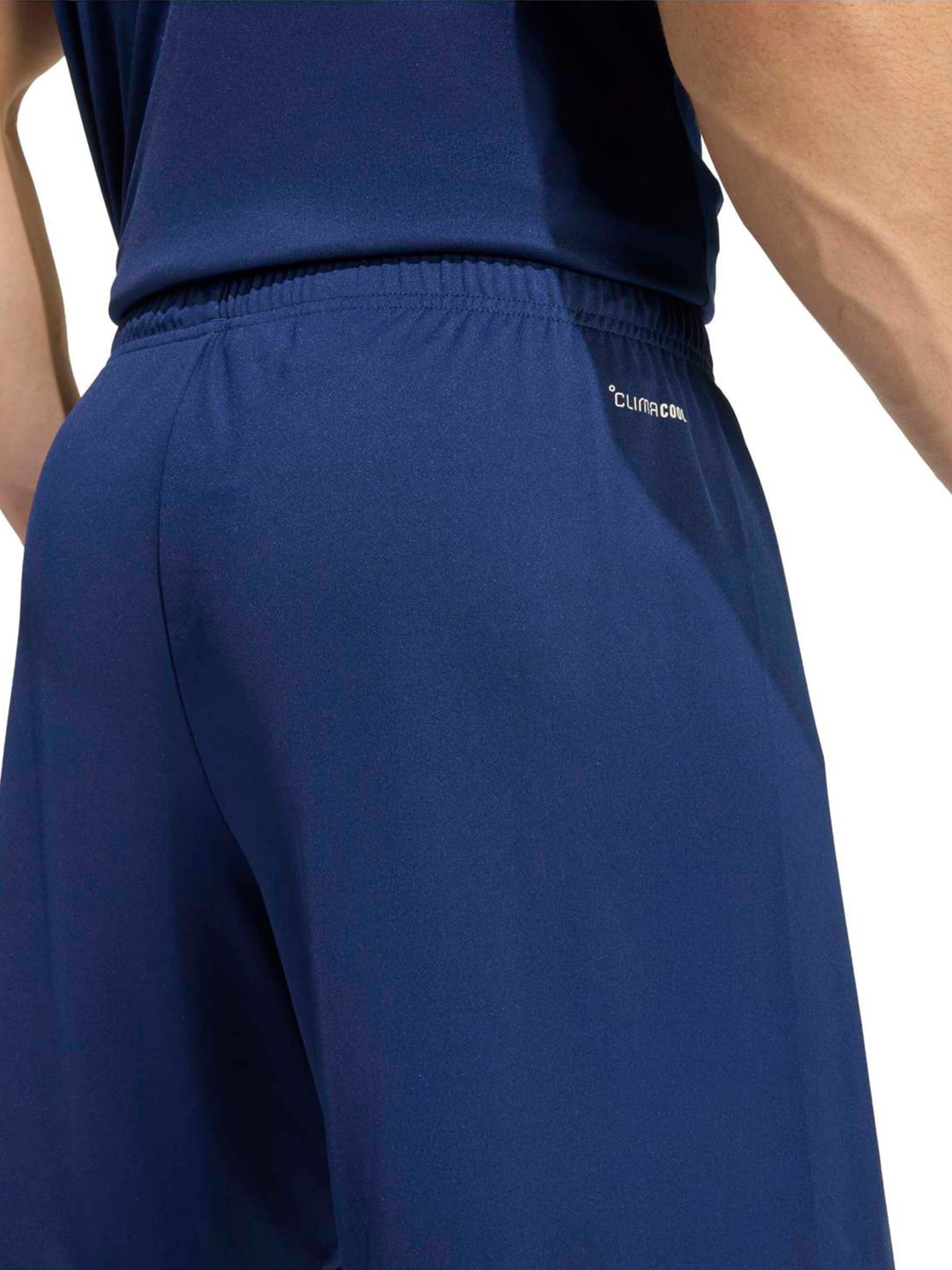 ADIDAS PERFORMANCE Regular Sports trousers 'Entrada 26' in Blue