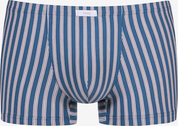 Mey Boxer shorts in Blue: front