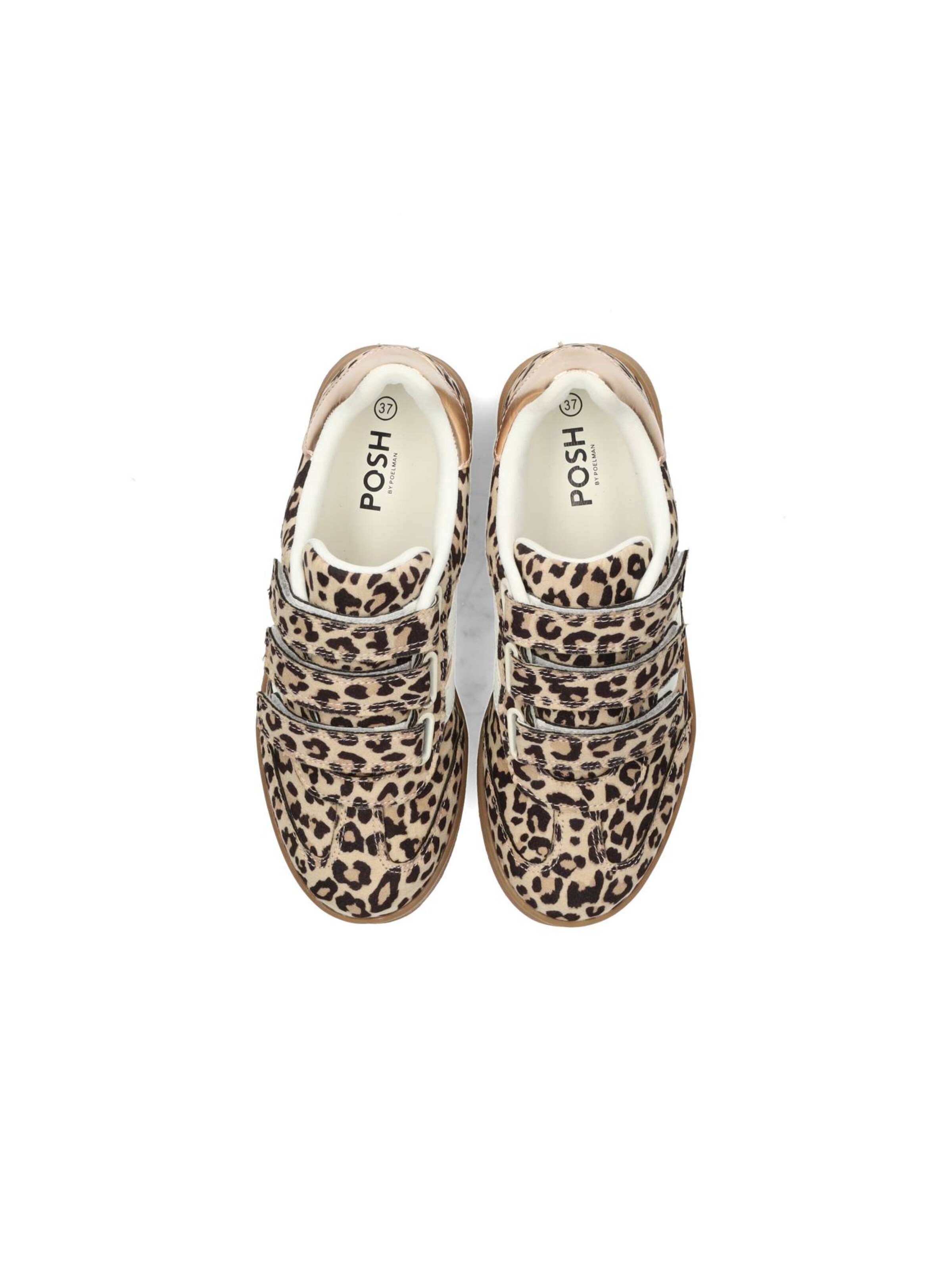 Baskets basses POSH by Poelman en beige