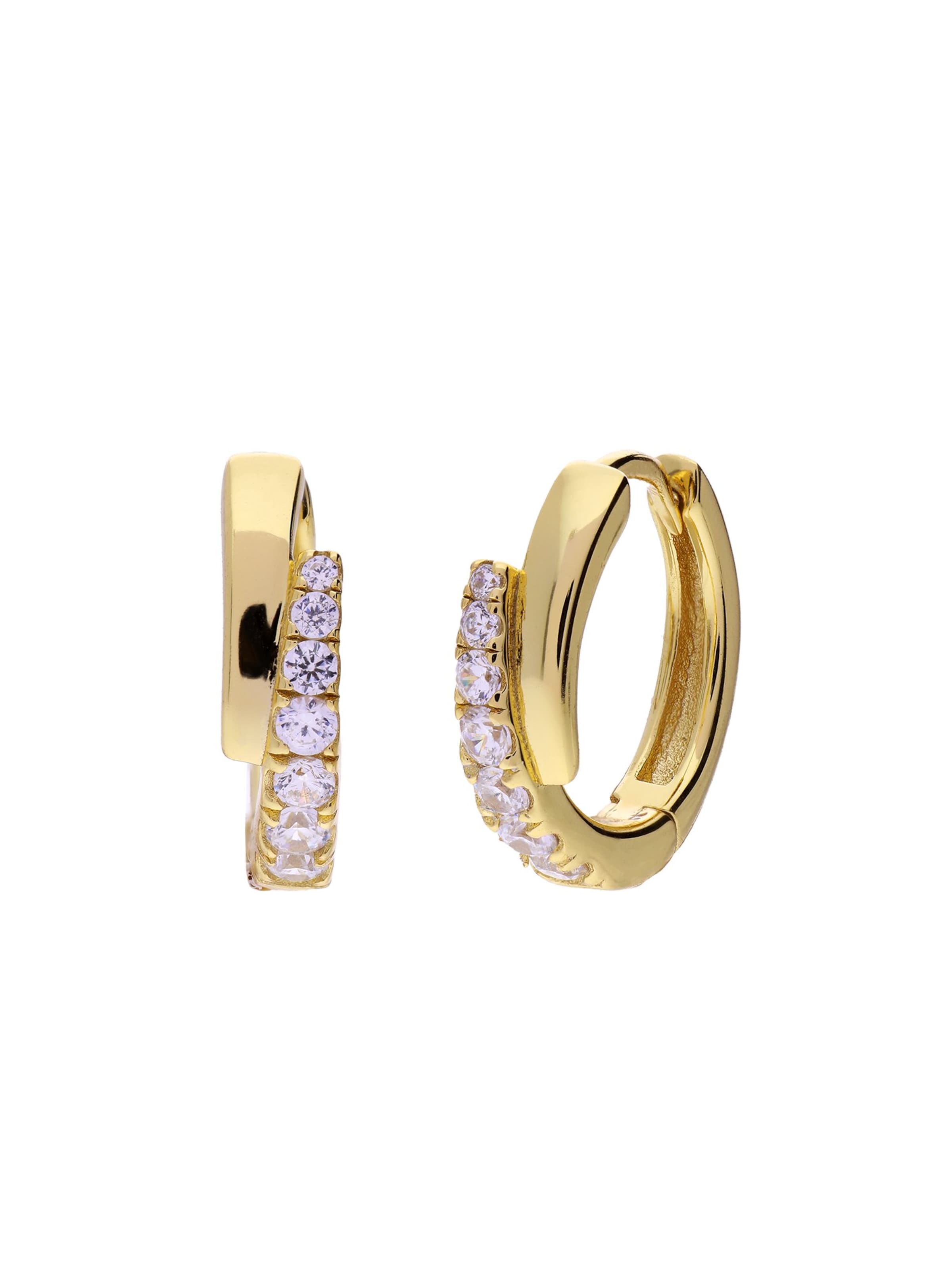 Lucardi Earrings in Gold, Item view
