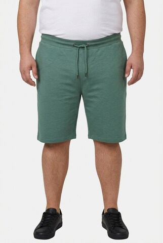 Men Plus Regular Trousers in Green