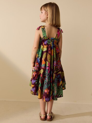 Next Jurk in Gemengde kleuren