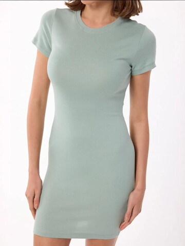 Hiccup Dress in Green