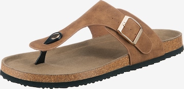 ambellis T-Bar Sandals in Brown: front