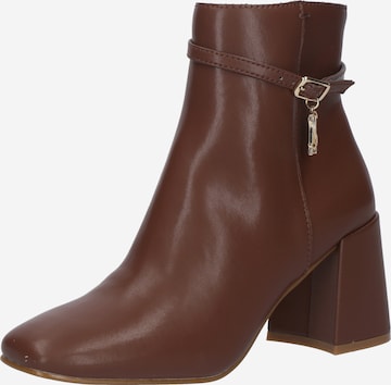 STEVE MADDEN Nilkkurit värissä ruskea: etupuoli