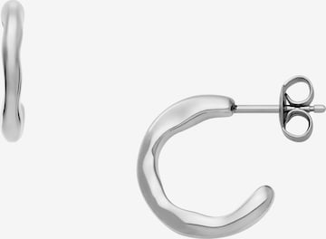 SKAGEN Earrings in Silver: front
