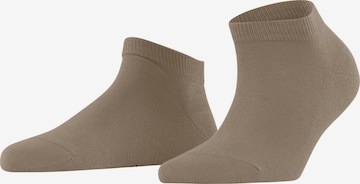 FALKE Ankle Socks 'Family' in Beige: front