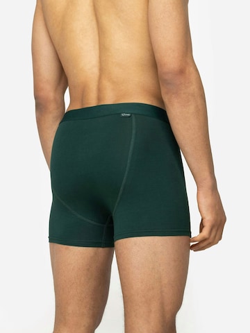 A-dam Boxer shorts in Green