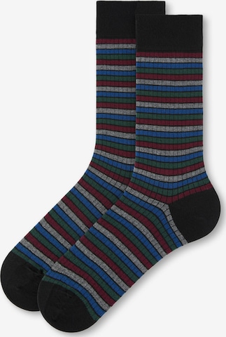 CALZEDONIA Socks in Black: front