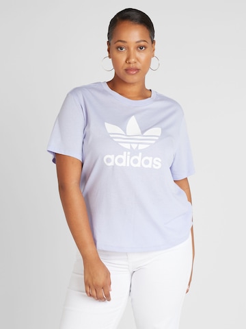 ADIDAS ORIGINALS Shirt 'Trefoil' in Purple: front