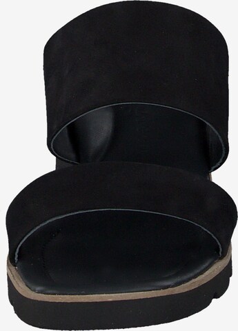 Paul Green Mules in Black