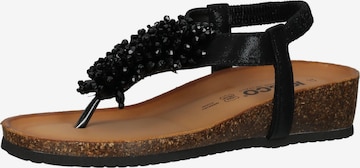 IGI&CO T-Bar Sandals in Black: front