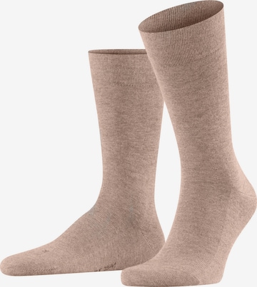 FALKE Socken in Braun: Vorderseite