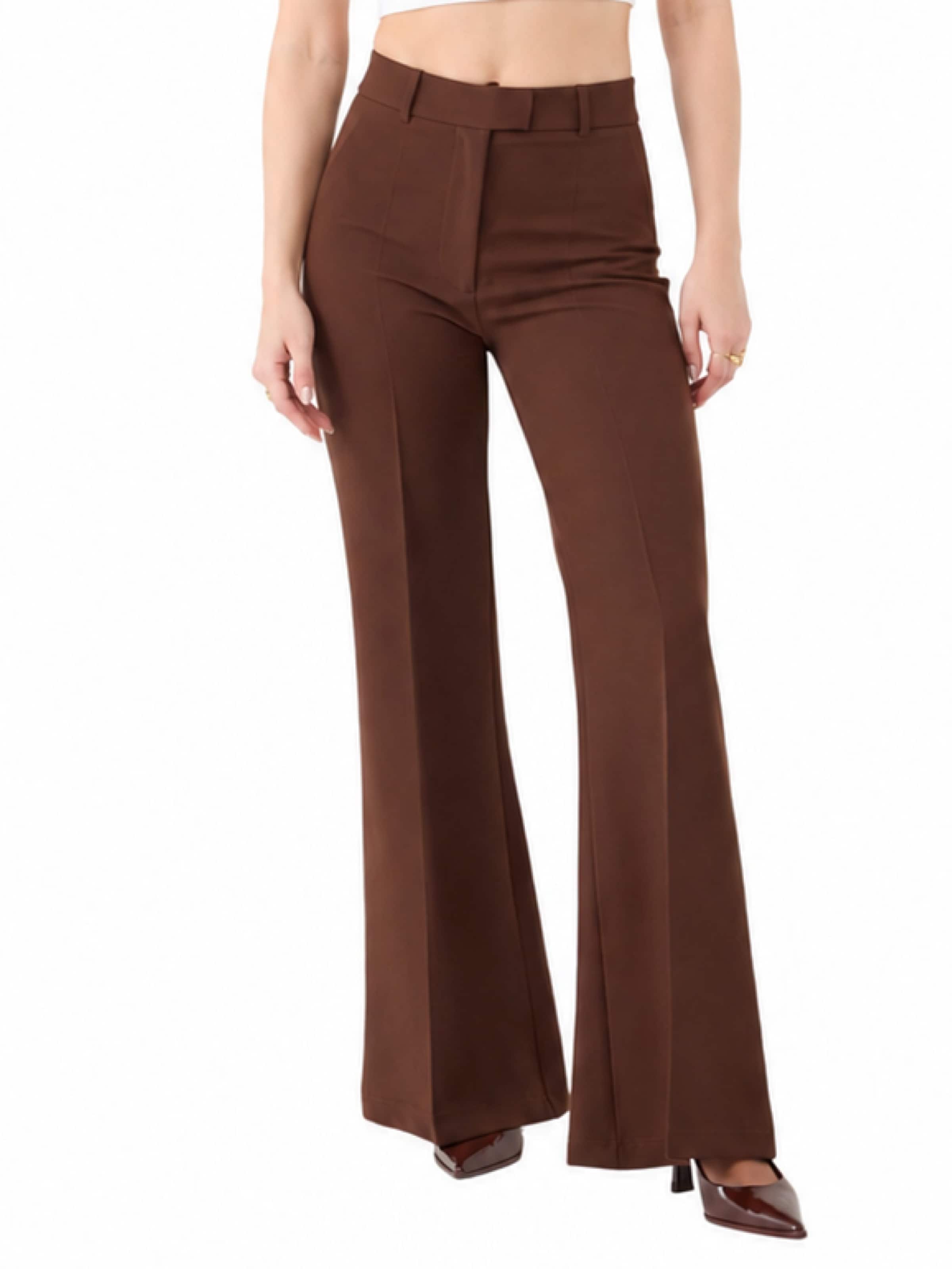 HOLLY LOLLY Flared Pleated Pants in Brown: front