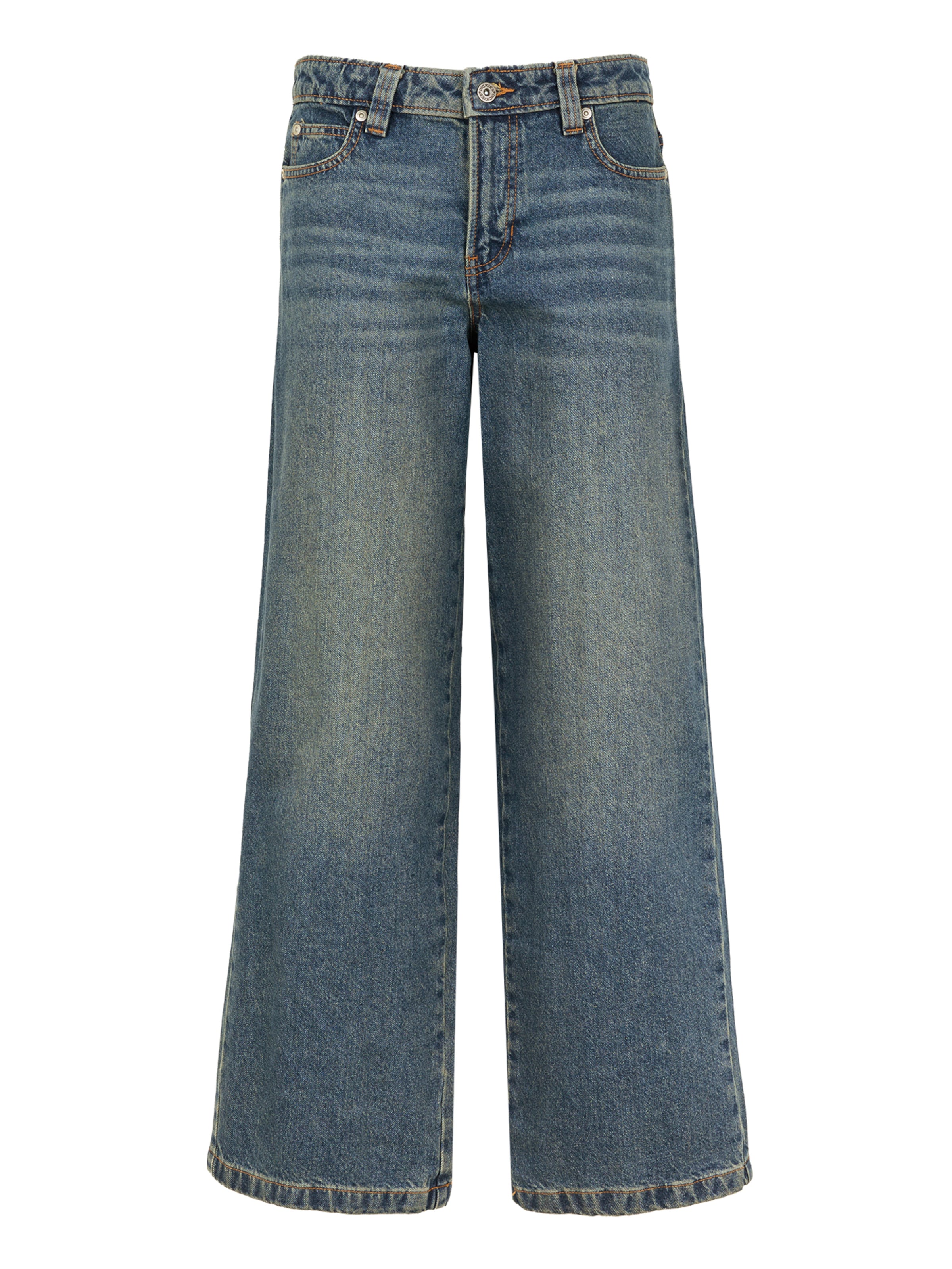 mėlyna DICKIES Laisvas Džinsai 'Mechanic': priekis