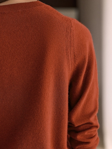 Next Pullover 'N. Premium' i brun