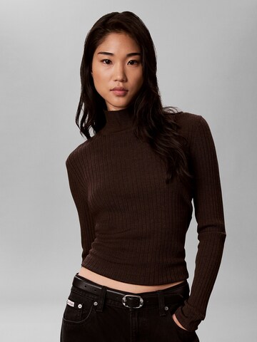 Pull-over Calvin Klein en marron : devant