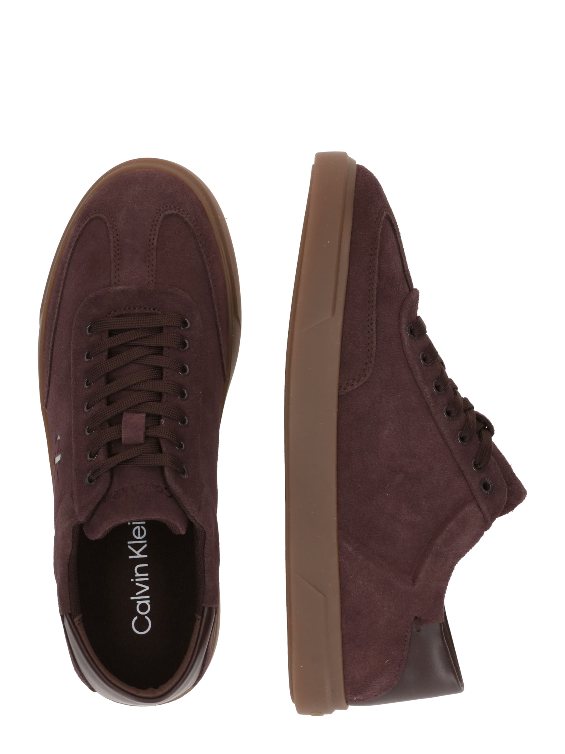 Baskets basses Calvin Klein en marron