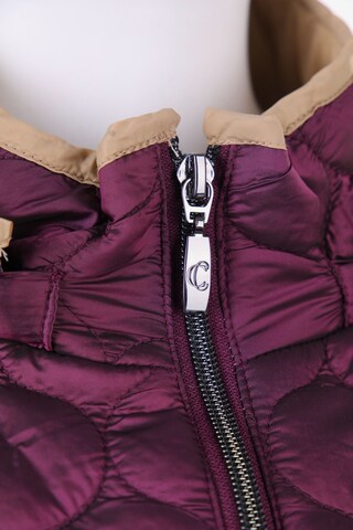 Clarina Jacket & Coat in 4XL in Purple