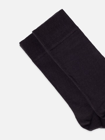 DillySocks Socks 'D-Compose 2er Set' in Black