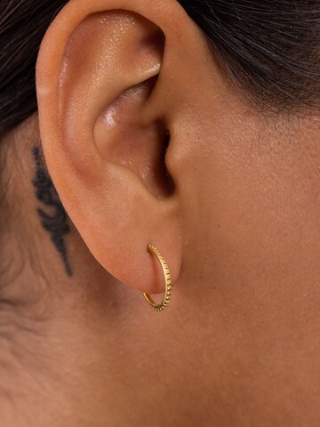 Boucles d'oreilles 'Olani' PURELEI en or