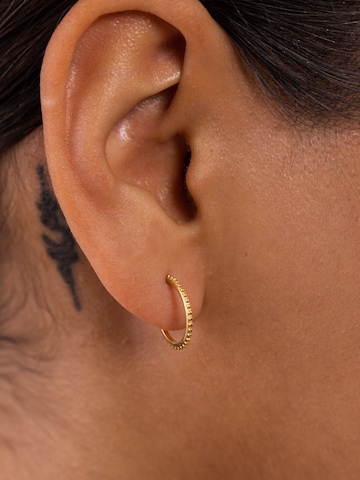 PURELEI Earrings 'Olani' in Gold