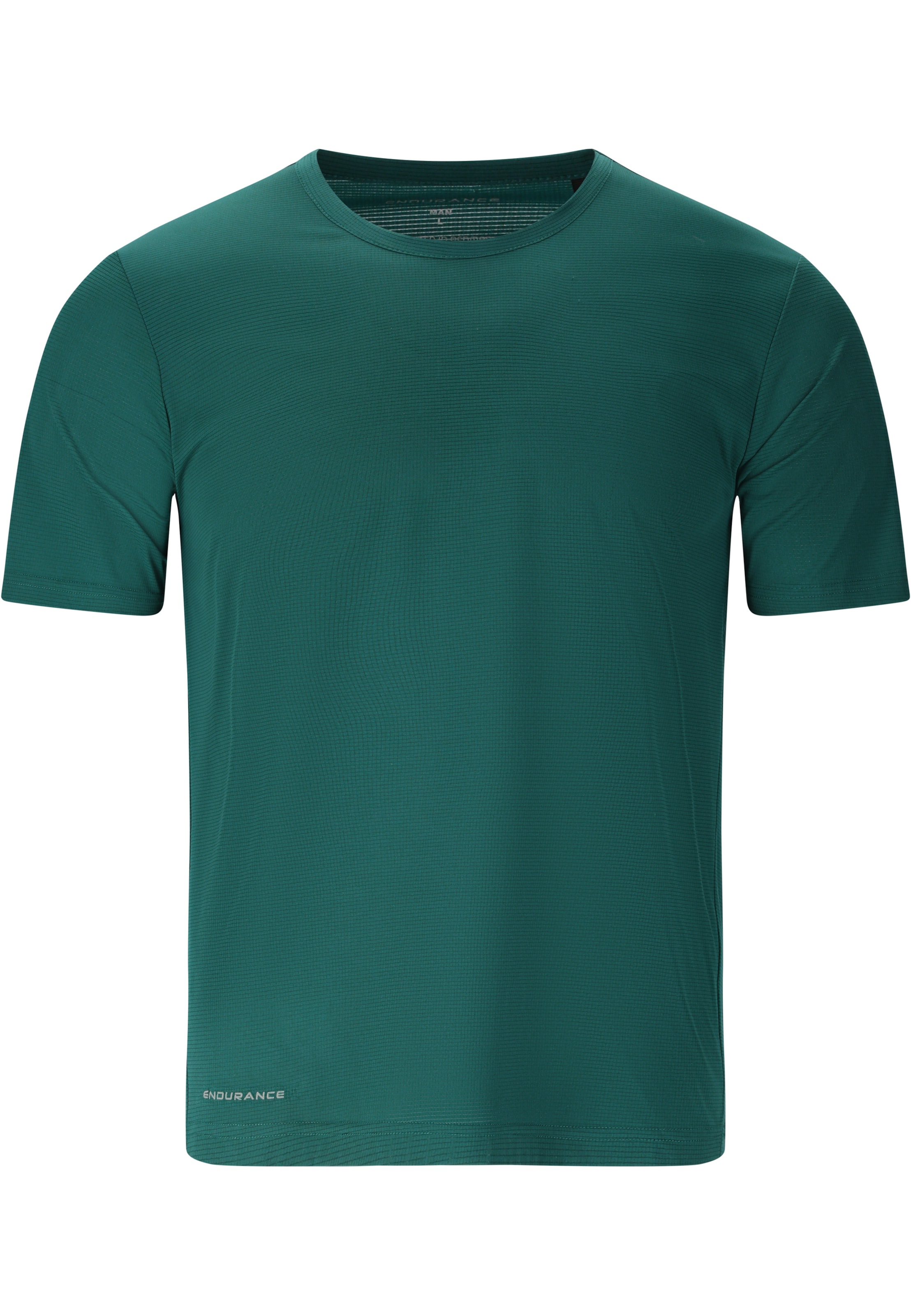 ENDURANCE Performance shirt 'Earriba' in Green: front