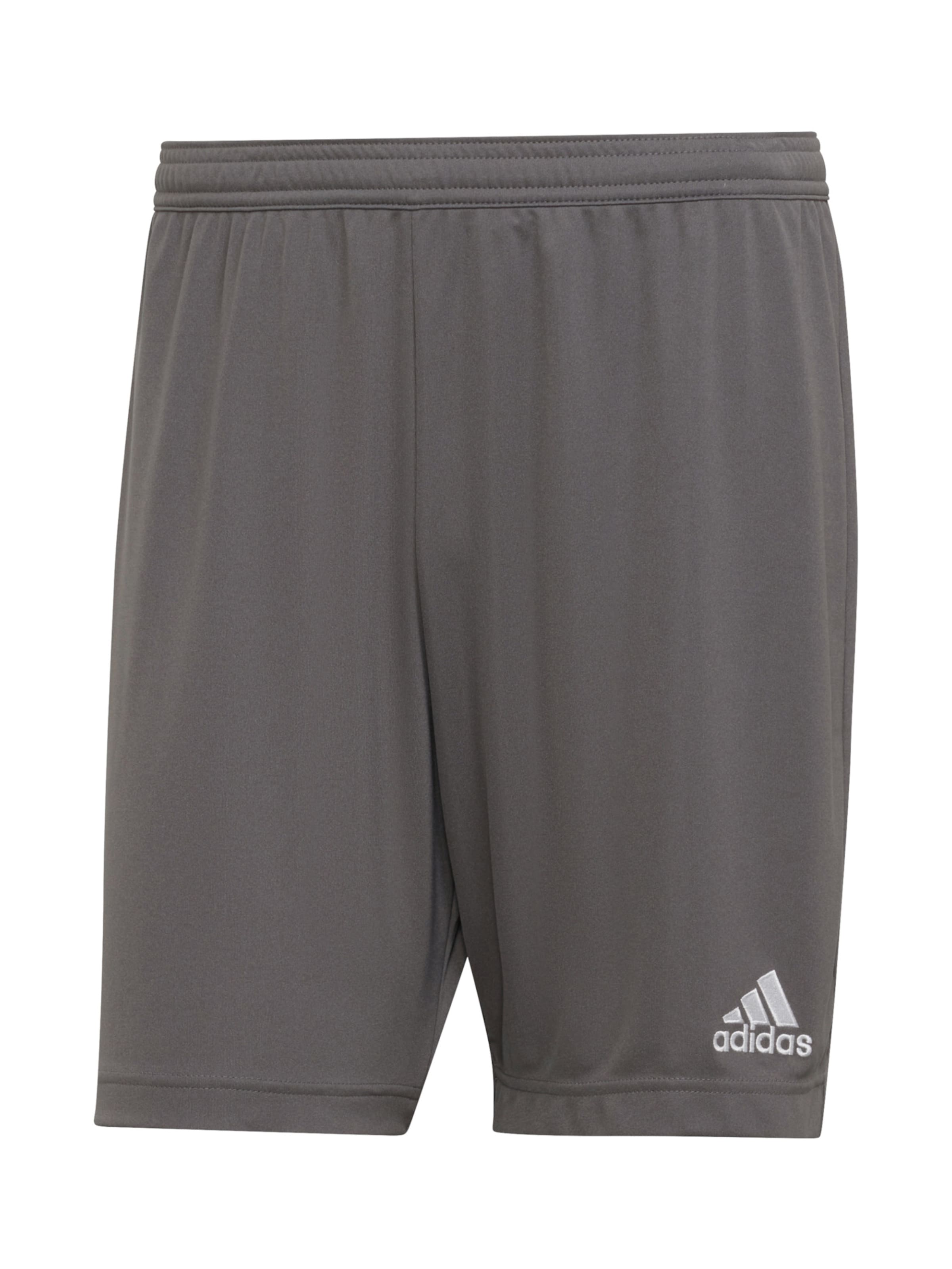 ADIDAS PERFORMANCE - regular Pantalón deportivo 'Entrada 22' en gris: frente