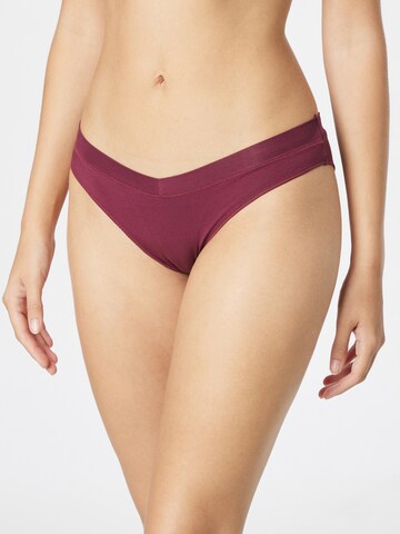 ESOTIQ Panty in Purple: front