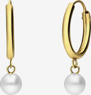 Boucles d'oreilles Lucardi en or : devant