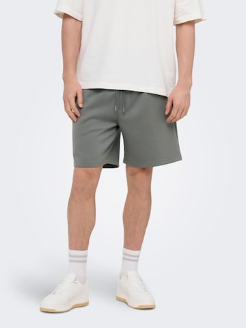 Regular Pantalon 'ONSLuca' Only & Sons en gris : devant