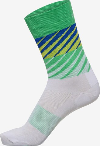 Newline Athletic Socks 'Pace' in Blue