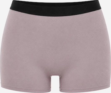 True North Boyshorts 'Boyshort' in Purple: front