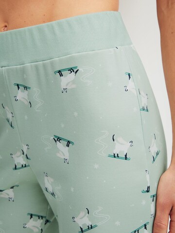 Pantaloncini da pigiama 'Favourites Cats' di CALIDA in verde