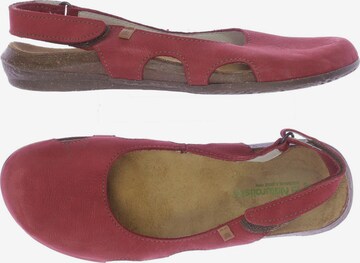 EL NATURALISTA Sandals & High-Heeled Sandals in 38 in Red: front
