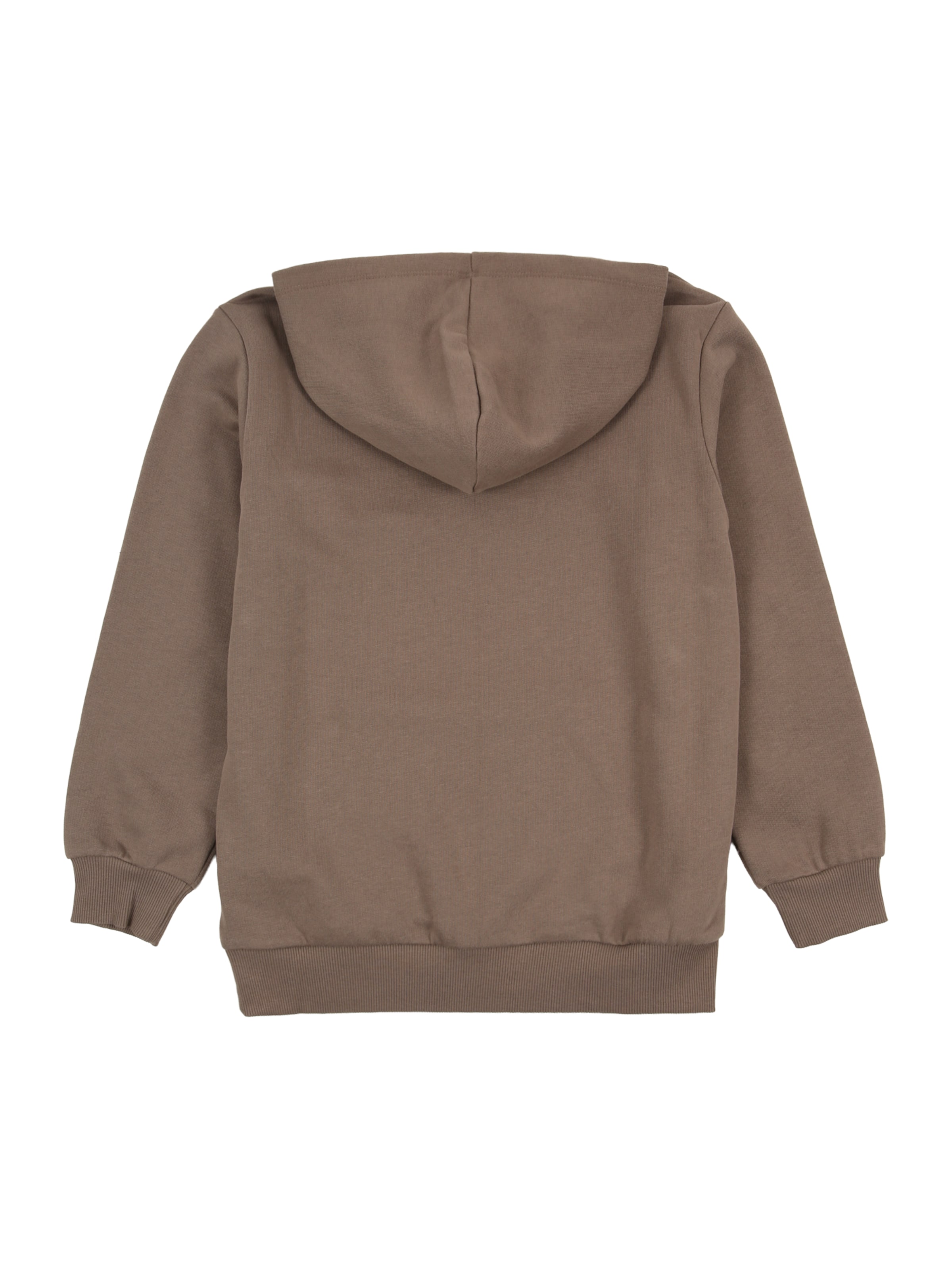 UNITED COLORS OF BENETTON Свитшот в Коричневый